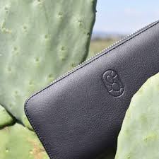 Scientist makes biodegradable plastic from cactus leaves. Desserto Atlas Of The Future Atlas Of The Future