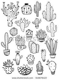 Set Of Isolated Black Sketch Cactus And Succulent Icons Houseplant And Wild Cactus Collection Cactus Drawing Cacti And Succulents Plant Drawing