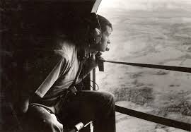 Image result for Rytigynia lewisii