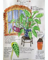 After applying water, allow the top 2 to 3 inches of potting soil to dry out before watering it again. Pin On Plant Care