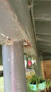 Walgreens pharmacy at 2070 w oaklawn rd in pleasanton, tx. Annie Oakley Pest Control Home Facebook