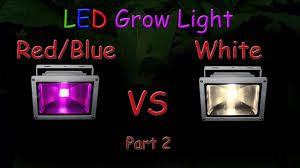 Check spelling or type a new query. White Led Vs Red Blue Led Grow Light Grow Test Part 2 The Grow Results 2016 Youtube