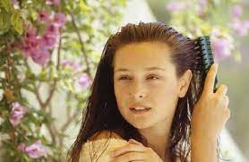 اين أجد عشبة ذيل الحصان وأفضل المنتجات تنطوي عشبة ذيل الحصان على فوائد صحية hair vitamins oil treatment for hair coconut oil treatment