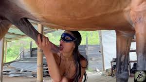 horse - BestialitySexTaboo - Bestiality Sex Taboo