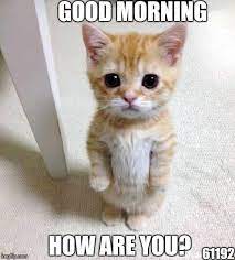 121 Top Funny Good Morning Memes To Make You Laugh