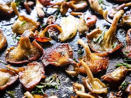 Add tomato puree and, oregano, and thyme; Pan Fried Oyster Mushrooms The Sophisticated Caveman