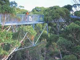 Book your tickets online for tree top walk, walpole: Tree Top Walk Explore Parks Wa Parks And Wildlife Service