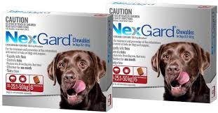 Nexgard chewables from the makers of frontline plus. Nexgard Chewables For Dogs 25 1 50kg Red