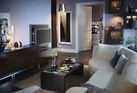 For example here are some living room design ideas for this year. Ikea Living Room Design Ideas 2011 Digsdigs