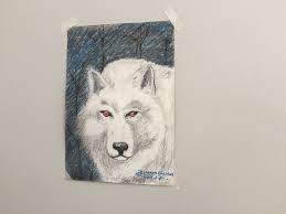 Sacada ganha animais de arame e curiosidade de motoristas quase causa  acidentes em MS