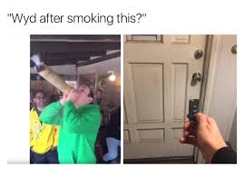 Wyd After Smoking Steemit