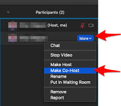 Click participants in the meeting controls at the bottom of the zoom window. Allowing Zoom Participants Access To Share Screen Wake Forest Law Help Desk