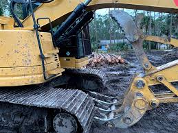 The santa cruz bedroom furniture and edgewater living room furniture got to its final destination.transportation and customs were succesfuly passed on dec 24th. Palm Coast S Disappearing Canopy Flaglerlive