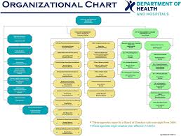 Hospital Organizational Chart Template Free Download