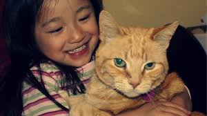 Cats Are The Unsung Heroes Of Mental Health