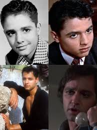 Actor Ray Sharkey's death and notable roles in Wiseguy and The Idolmaker