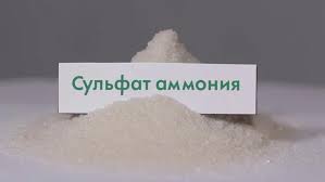 Мнение эксперта по подкормке чеснока мочевиной