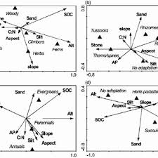 Image result for Agrocharis pedunculata