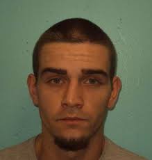 Victim aids police in apprehension of burglary, theft suspect