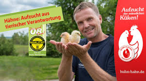 Als grundlage dient der klassiker unter den bastelzutaten: Huhn Hahn Initiative Huhn Hahn De
