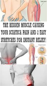 Pin On Exercise
