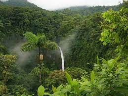 If you're in search of the best rainy background, you've come to the right place. Hd Wallpaper Jungle Lush Rain Forest Tropical Waterfall Trees Lpaper Wallpaper Flare