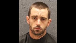 South Carolina man steals horse, hides it in bedroom, deputies say