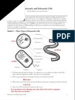 Amoeba Sisters Biomolecules Pdf Biomolecules Lipid
