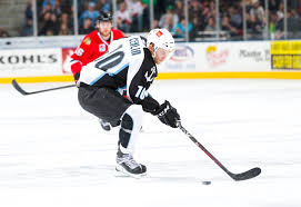 .angeles kings minnesota wild montreal canadiens nashville predators new jersey devils new bk hv71 ik oskarshamn leksands if linköping hc luleå hockey malmö redhawks rögle bk. Patrick Cehlin Signs With Rogle Bk Admirals Roundtable