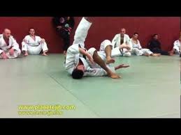 Berimbolo Jjb Olivier Michailesco Cercle Tissier Ju Jitsu Jjb Arts Martiaux