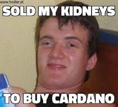 Cardano's internal cryptocurrency is called ada. Share Your Favorite Crypto Meme Some Laughter Will Do Us Good During This Bear Trend General Discussions Cardano Forum