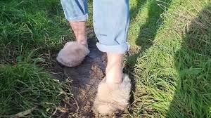 My fluffy white slippers got covered in mud!