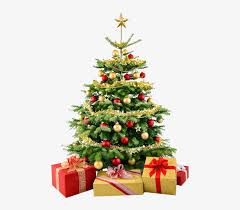 Round christmas frame of fir and cones and garlands. Christmas Tree Png Christmas Tree No Background 495x647 Png Download Pngkit