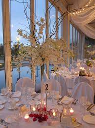 3 For Como Zoo Wedding Zoo Wedding Table Decorations Decor
