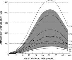 amniotic fluid volume too much too little or who knows