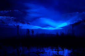 We did not find results for: Waterlicht Dune Studio Roosegaarde