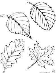 Free Fall Leaf Patterns Leaf Template Leaf Drawing Leaf Art