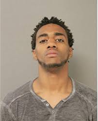 ᐅ Illinois Criminal Records 2009-2025