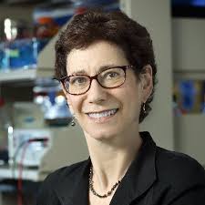 Carol Russo (@carolrusso42)