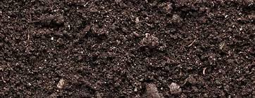 View map of minneapolis mn department of labor, and get driving directions from your location. Magnuson Sod Full Service Lawn Care Minneapolis