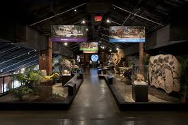 Houston Museum Of Natural Science Sugar Land Museum Exhibition Design Museum Exhibition Design Display Nature Museum
