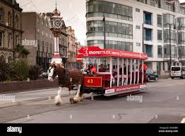 Tram trams horse hi-res stock ...