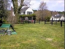 Is a wholesale nursery located in montevallo, alabama with over 200 acres in production. Green Valley Farm Easternshore Farm Land Virginia Real Estate Youtube