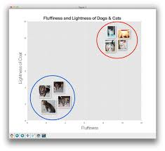 A model portfolio is an important tool that models use to present themselves during castings. K Nn Classifier For Image Classification Pyimagesearch