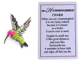 Robot Check Hummingbird Quotes Life Symbol Hummingbird Symbolism