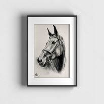 80 Mustang Tiere Tierportrait Bilder Und Ideen Auf Kunstnet