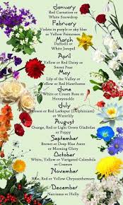 Flowers Months Reference Chart Birth Month Flowers Birth Flowers Month Flowers