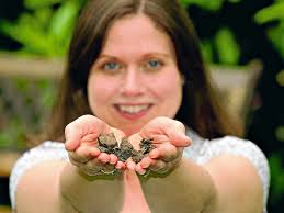 'Meteorite' lands in Shrewsbury back garden