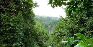 We protect everything in it and so can you, just by visiting. Guadeloupe Im Regenwald Auf Der Schmetterlingsinsel Ninifeh Reiseblog