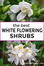 As the color symbolizes purity, light, and goodness, it brings a certain touch of tranquility to space. White Flowering Shrubs 20 Of The Best Varieties For Your Garden Gardening From House To Home